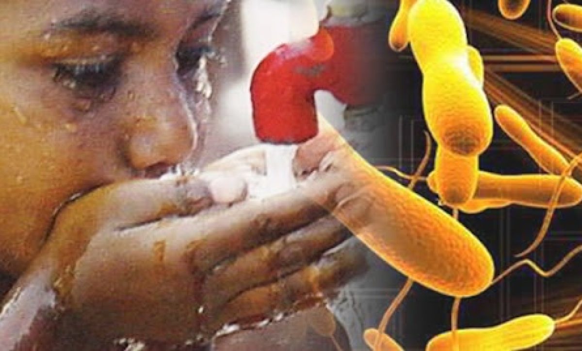 un-brote-de-colera-deja-decenas-de-muertos-y-mas-de-2-700-hospitalizados