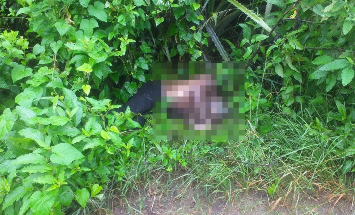 un-cadaver-en-avanzado-estado-de-descomposicion-se-descubrio-en-un-sector-rural-de-montecristi-en-la-provincia-de-manabi