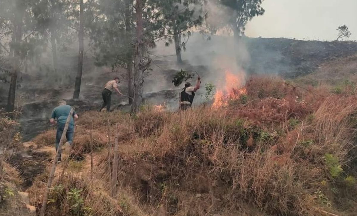 un-incendio-forestal-mantiene-la-tension-de-las-autoridades-de-la-provincia-de-loja-y-tambien-las-nacionales