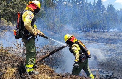 un-total-de-25-incendios-forestales-se-han-detectado-en-diferentes-provincias-del-pais-este-sabado-31-de-agosto-del-2024