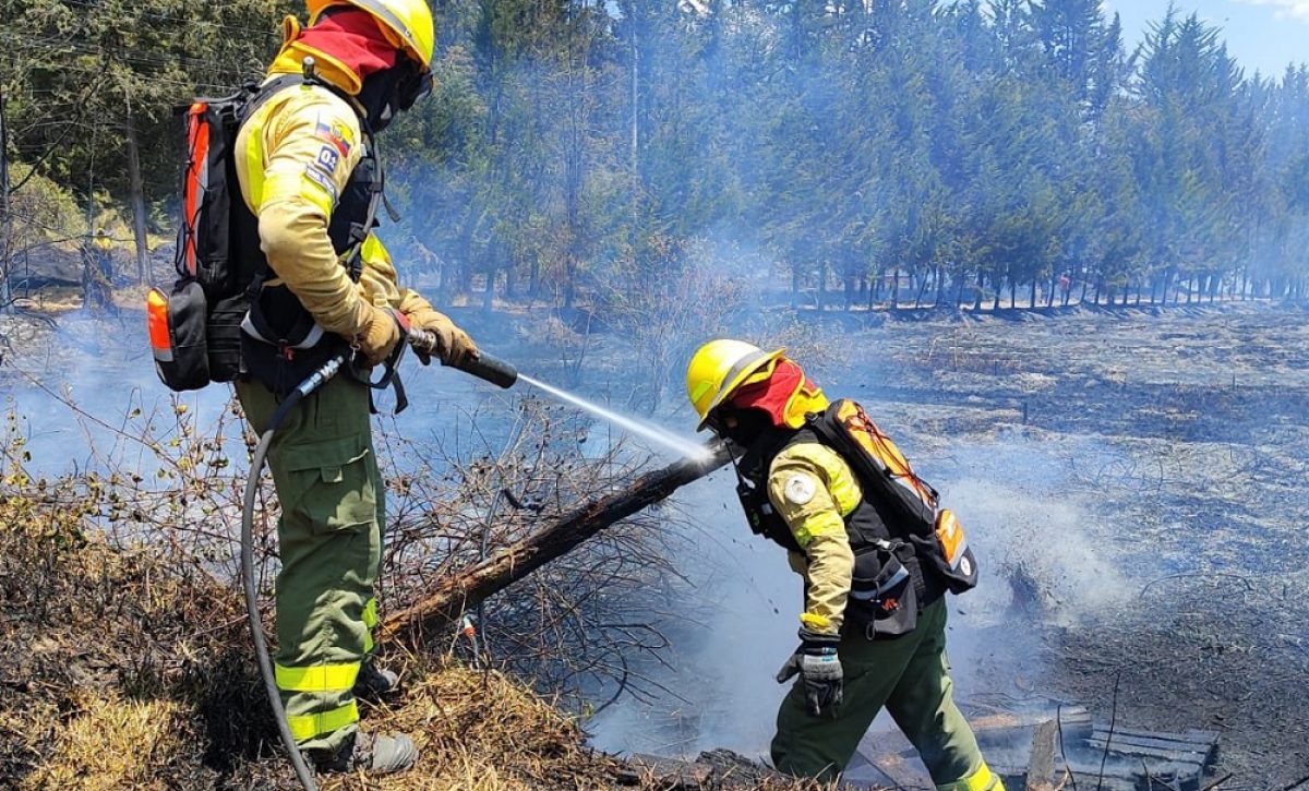 un-total-de-25-incendios-forestales-se-han-detectado-en-diferentes-provincias-del-pais-este-sabado-31-de-agosto-del-2024