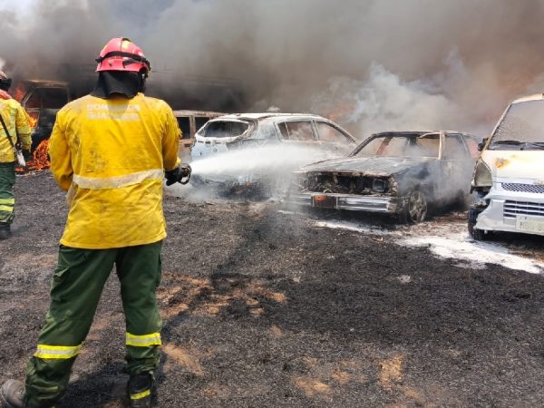un-total-de-30-carros-resultaron-quemados-tras-un-incendio-forestal-que-se-registro-en-el-norte-de-guayaquil-provincia-del-guayas