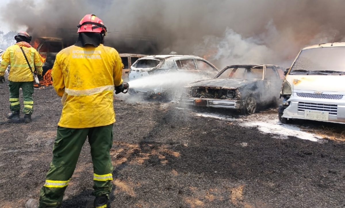 un-total-de-30-carros-resultaron-quemados-tras-un-incendio-forestal-que-se-registro-en-el-norte-de-guayaquil-provincia-del-guayas