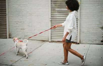 una-mujer-perdio-un-ojo-por-pasear-a-su-perro