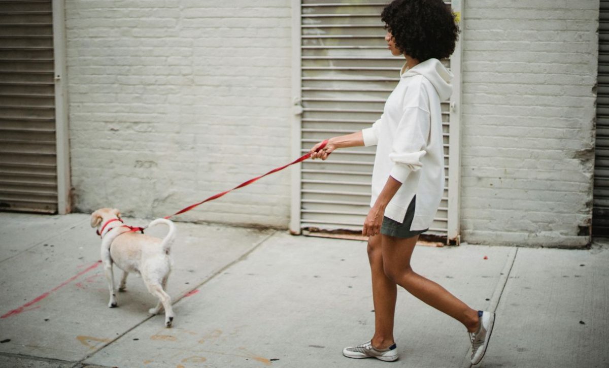 una-mujer-perdio-un-ojo-por-pasear-a-su-perro