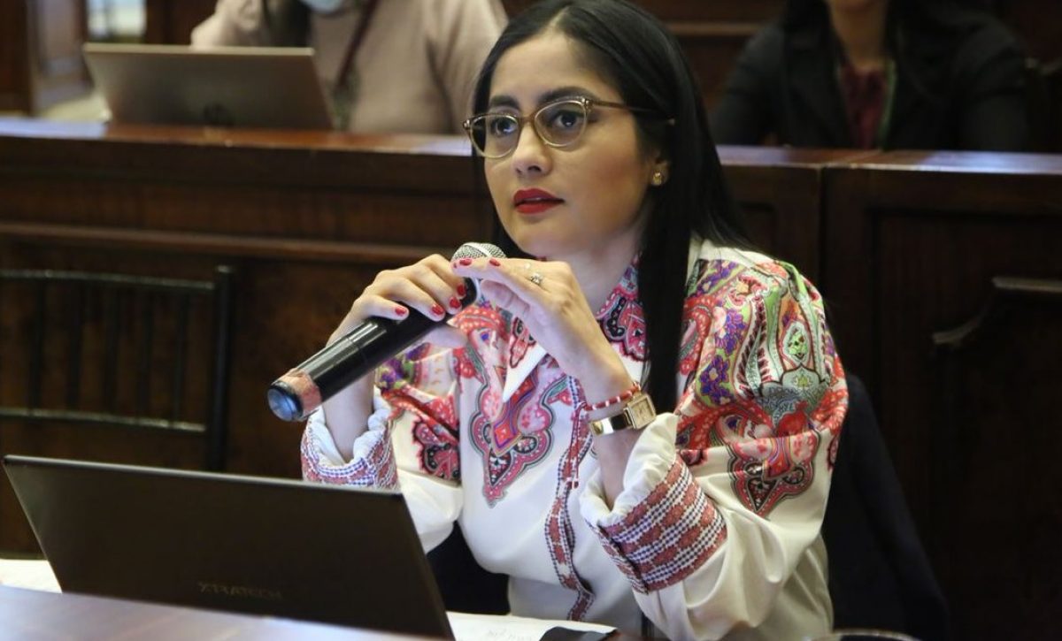 viviana-veloz-asambleista-por-santo-domingo-de-los-tsachilas-asumira-la-presidencia-de-la-asamblea-nacional
