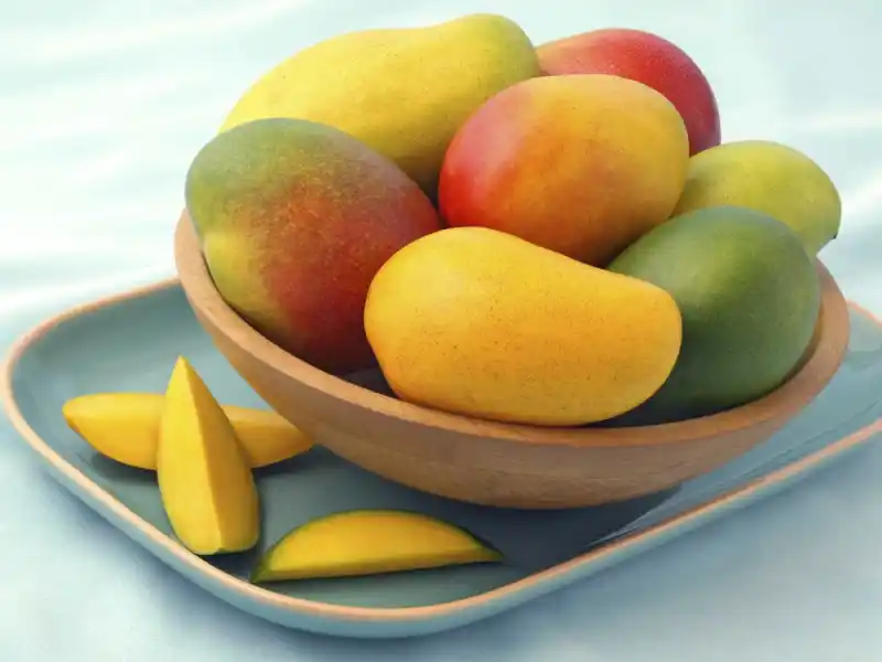 ¿La fruta perfecta? Descubre por qué el mango sorprende a científicos y nutricionistas