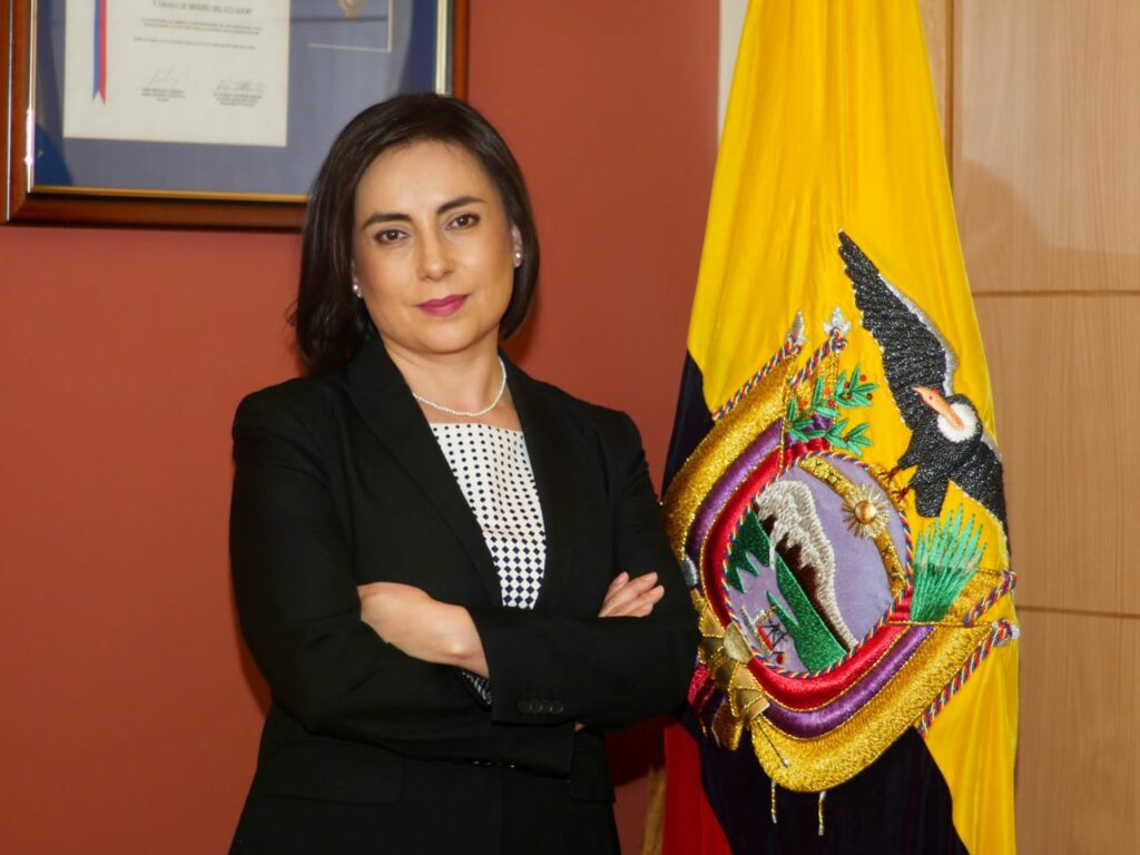 Crimen transnacional impulsa minería ilegal en 20 provincias, según presidenta de la Cámara de Minería