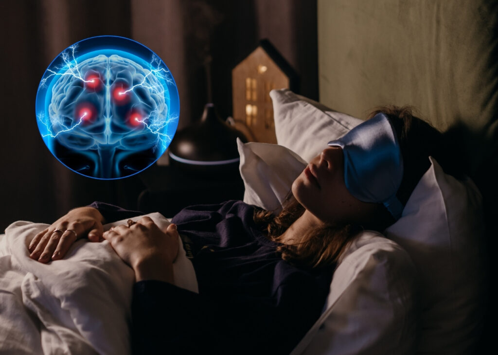¿El cerebro se apaga al dormir? La ciencia revela cómo funciona durante el sueño