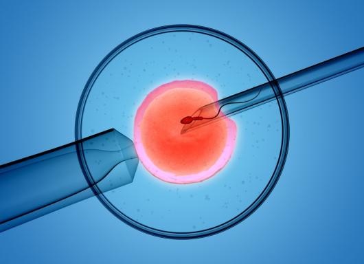 Hombres de más de 45 años tienen menos éxito en la fecundación in vitro, según estudio