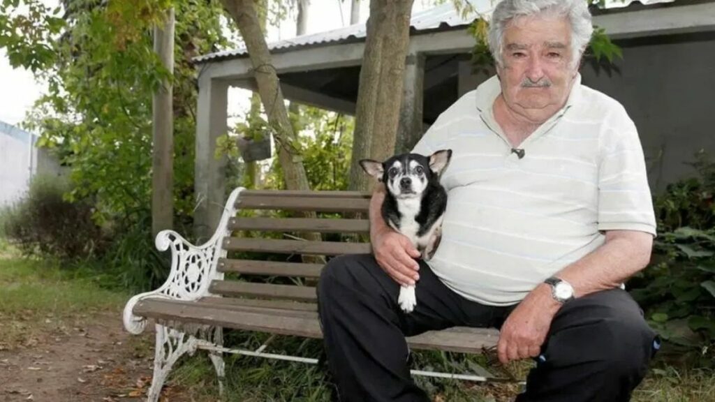 José Mujica será cremado y sus cenizas se esparcirán junto a los restos Manuela, su perra que tenía tres patas. (Internet).