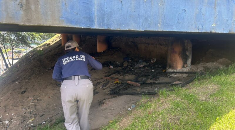 Quito autoridades recaban pruebas tras grave caso de maltrato animal en Carcelén
