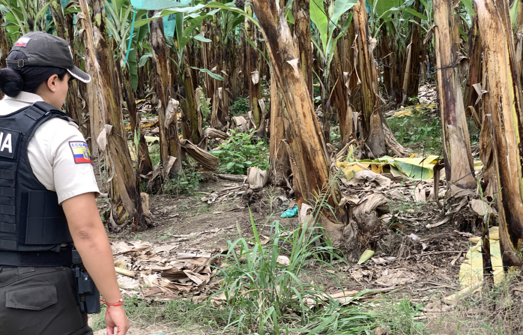 Identifican cuerpo de Dayana Torres Arboleda tras hallazgo en una finca en la vía Pajonal