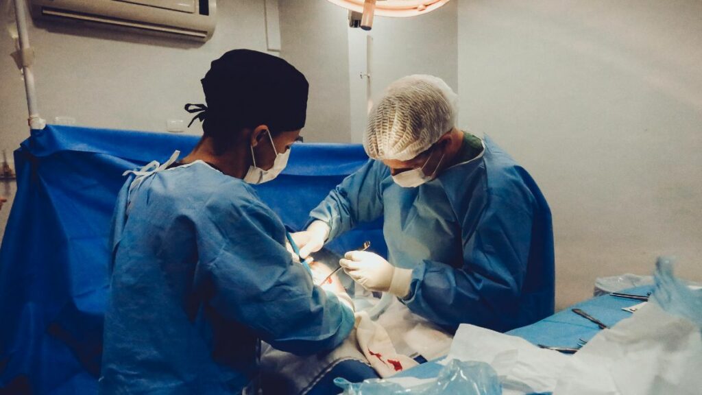 El riñón es el segundo órgano más trasplantado en unidades hospitalarias de Ecuador, lo supera la córnea. (Pexels).