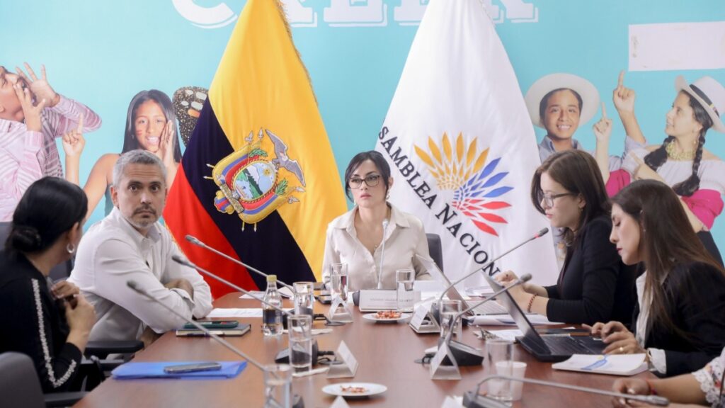 La Asamblea Nacional convocará otra vez a juristas para analizar el proyecto de Ley Reformatoria al Código de la Niñez y Adolescencia. (AN).