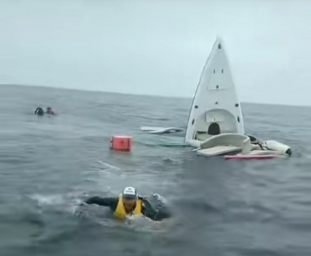Salto de ballena jorobada hunde embarcación turística en Ecuador