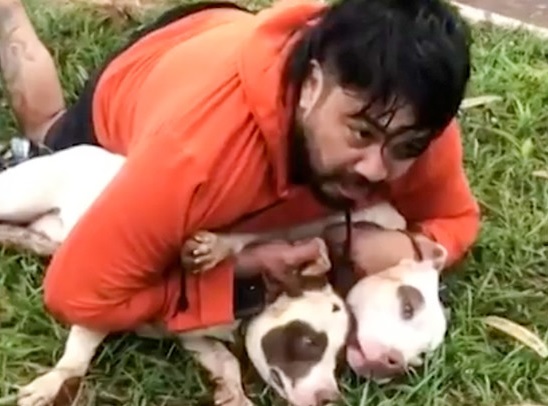 Un luchador brasileño de Muay Thai, Ernesto Chaves, de 33 años, utilizó sus habilidades en artes marciales para sobrevivir al ataque de dos perros de raza pitbull