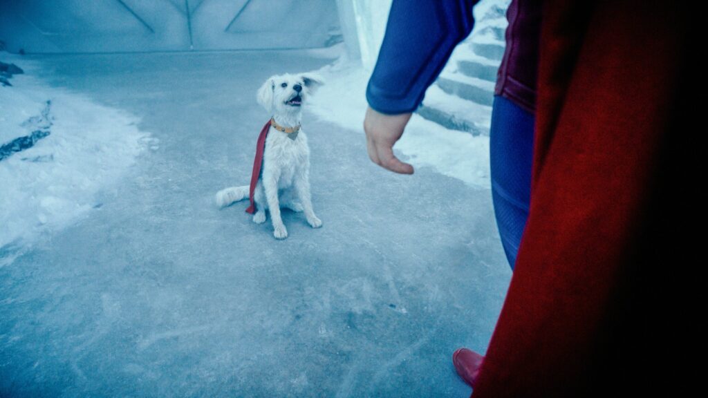 La mascota de Superman 2025 inspira un auge en la adopción de perros rescatados. FOTO: Captura de pantalla.