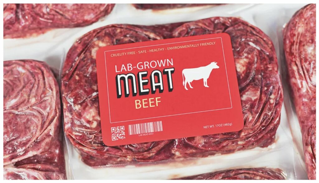 Aunque la producción de carne cultivada ha avanzado, su costo elevado sigue impidiendo que compita con la carne tradicional. Pese a que los precios han bajado gracias a la eficiencia y la escala de producción, aún están lejos de ser competitivos.