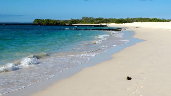 INOCAR emite advertencia de tsunami para Galápagos por fuerte sismo en el Pacífico Norte