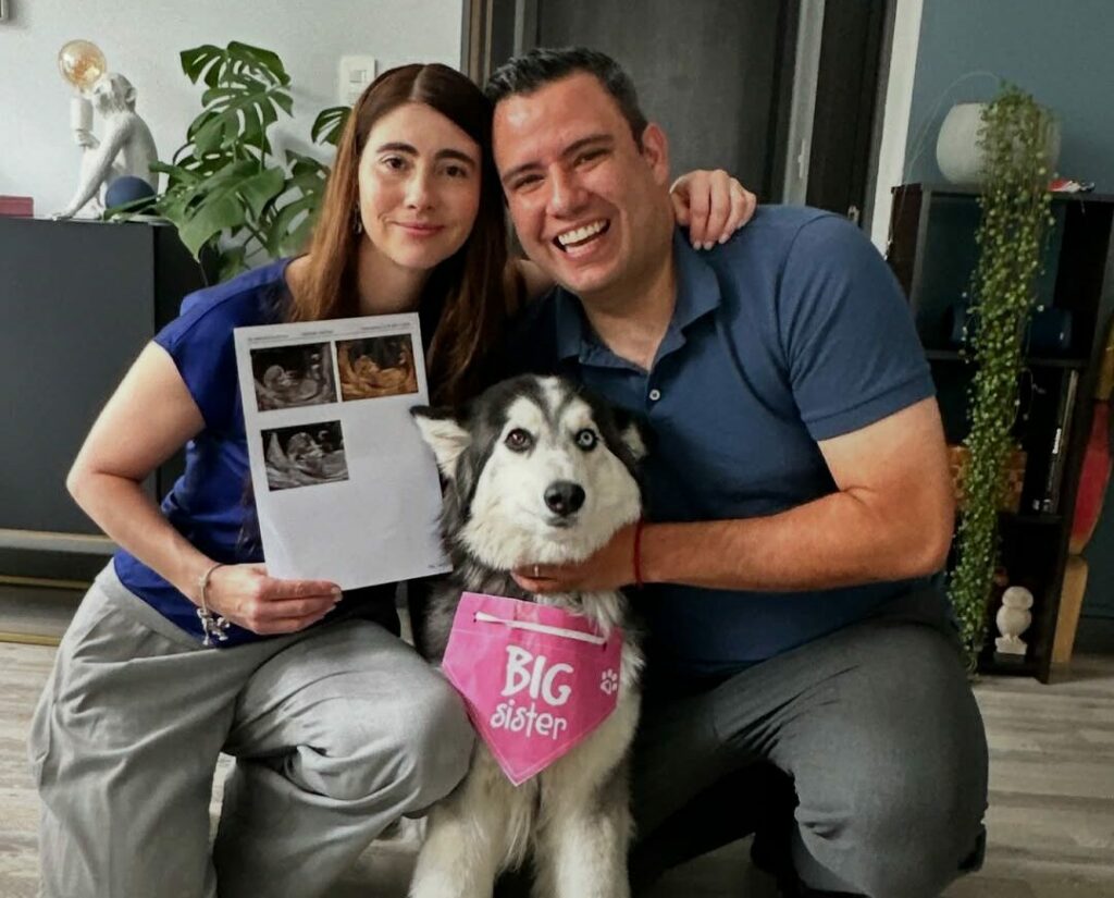 “¡Viene un mini heladeritx!”: Sergio 'El heladero' y su esposa anuncian la espera de su primer bebé
