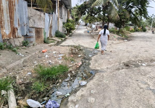 1 foto 2 Urbirrios y más barrios buscan ser parroquia urbana
