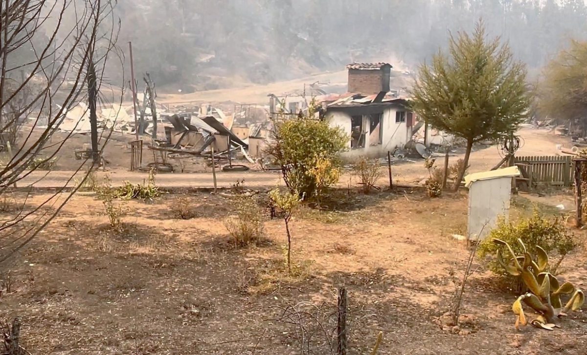 La imprudencia, mala gestión forestal y pocos medios desatan los incendios en Chile
