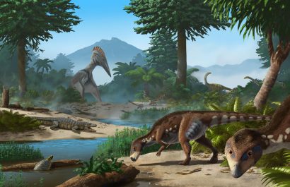 Descubren una nueva especie de dinosaurio enano que habitó en Transilvania