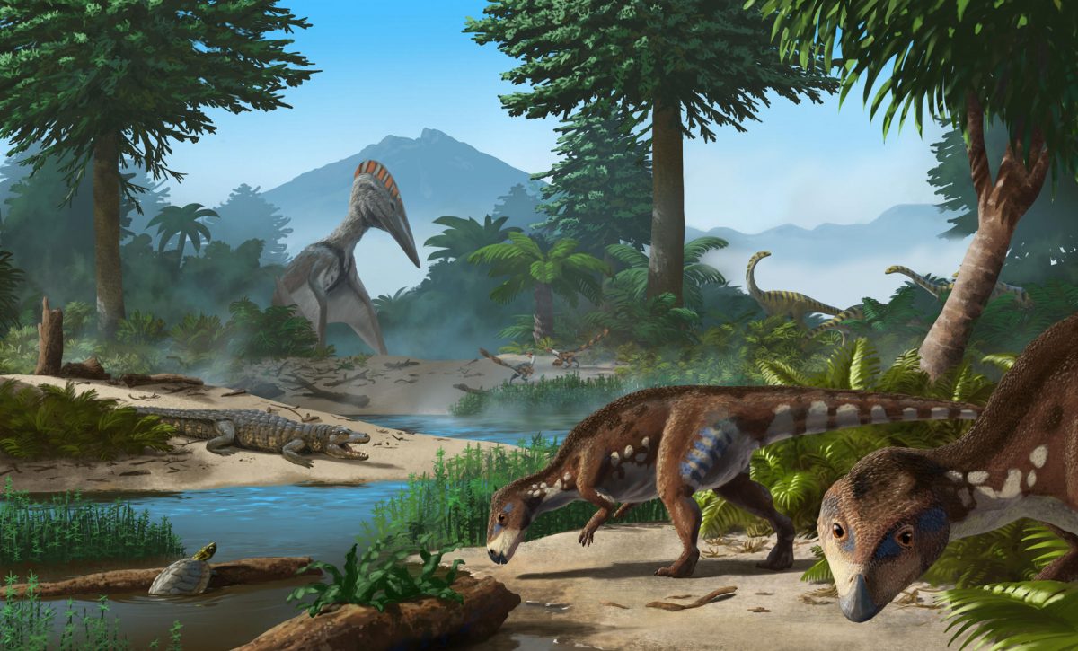 Descubren una nueva especie de dinosaurio enano que habitó en Transilvania