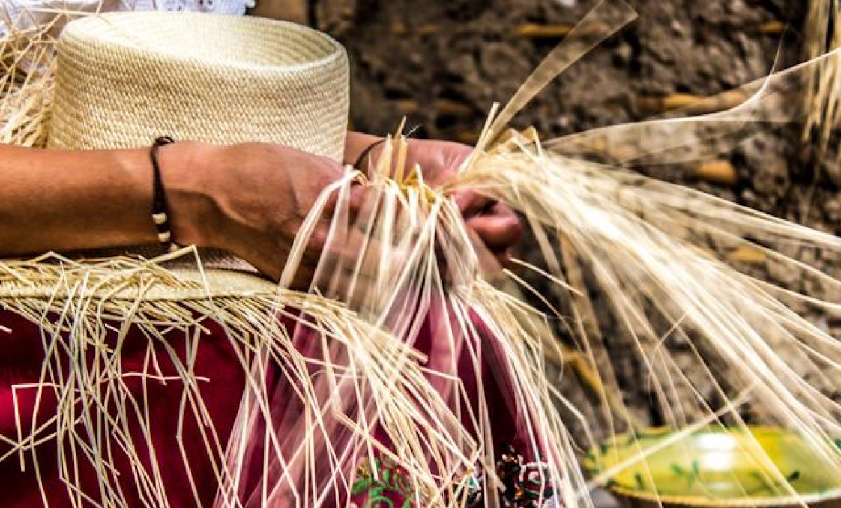 20191205082320_artesanos-del-sombrero-de-paja-toqu