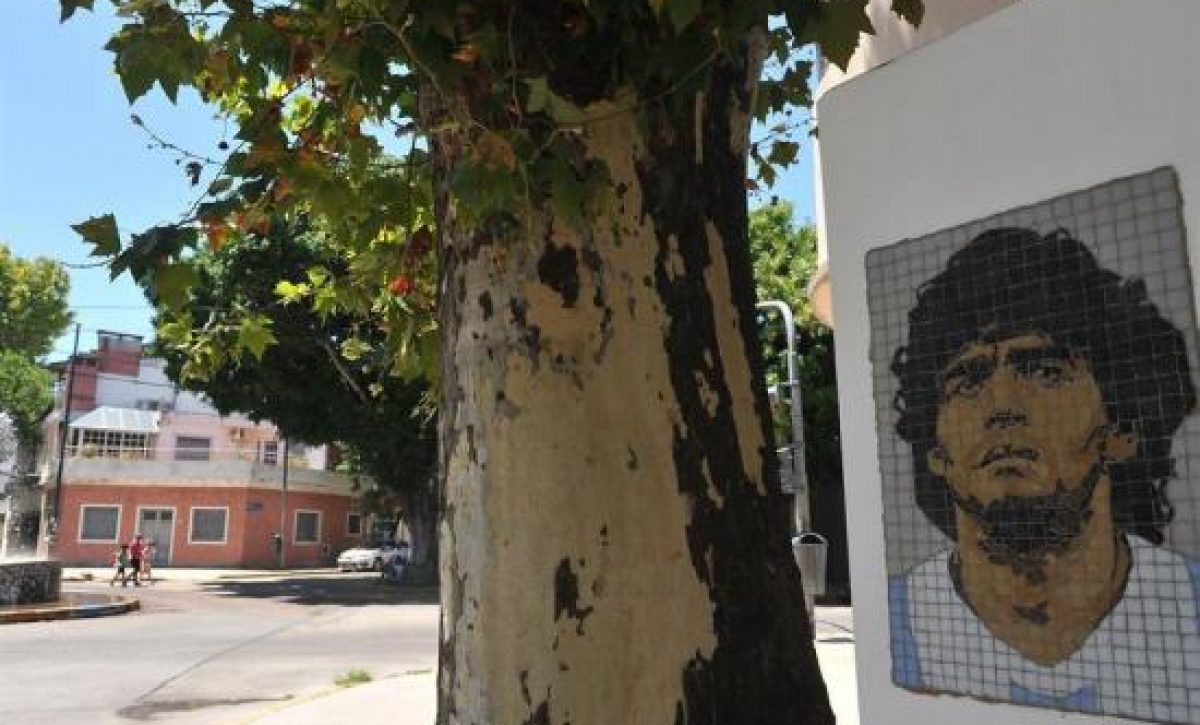 20210125081556_murales-por-toda-argentina-para-con_tn0