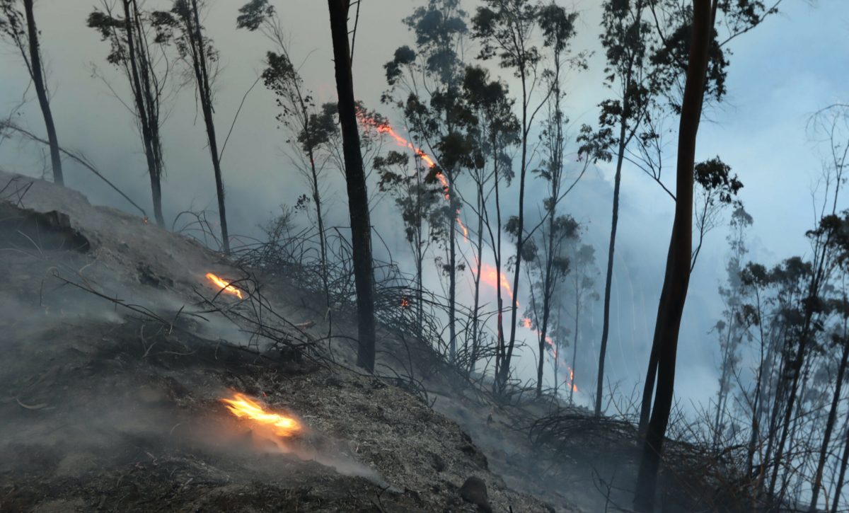 UIO-INCENDIO-SIMÓN-BOLÍVAR