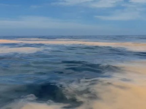Inocar informa de floración algal en aguas del litoral ecuatoriano