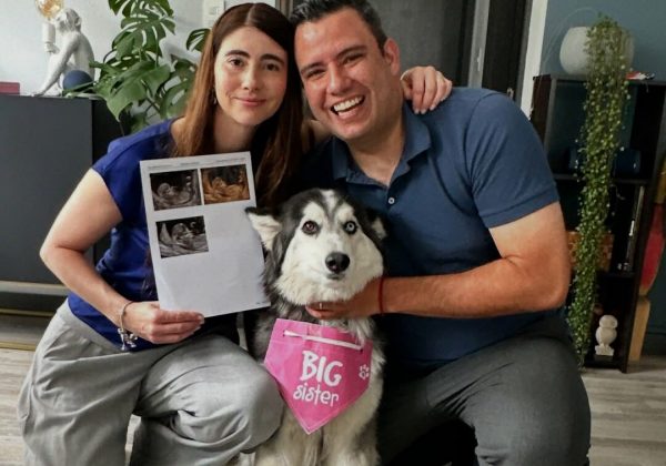“¡Viene un mini heladeritx!”: Sergio 'El heladero' y su esposa anuncian la espera de su primer bebé