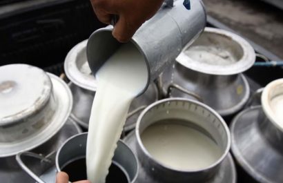 A partir del 1 de junio de 2025, el precio referencial del litro de leche UHT en funda aumentará a 0,96 cetavos de dólar en Ecuador.