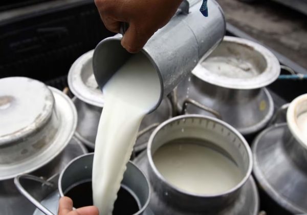 A partir del 1 de junio de 2025, el precio referencial del litro de leche UHT en funda aumentará a 0,96 cetavos de dólar en Ecuador.