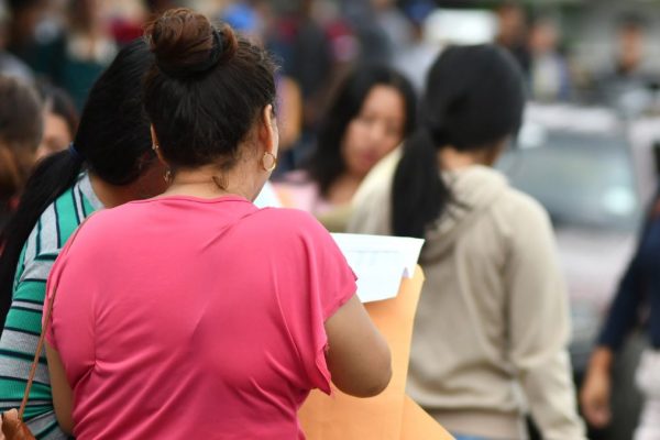 Acción de protección presentada por despido de funcionaria pública en plan de eficiencia administrativa. (API).