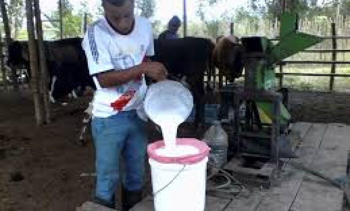 Ajuste del precio de leche en Ecuador
