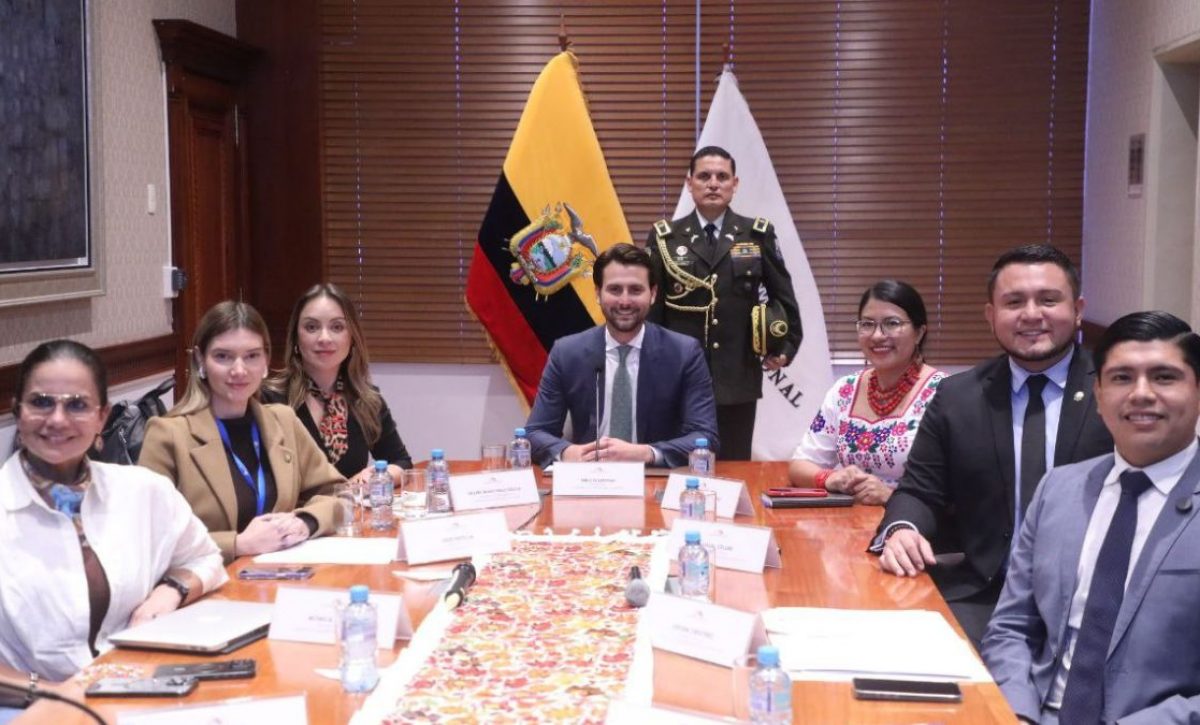 Asamblea Nacional El CAL calificó a trámite proyecto urgente para desarticular la economía criminal en Ecuador. (Asamblea Nacional).