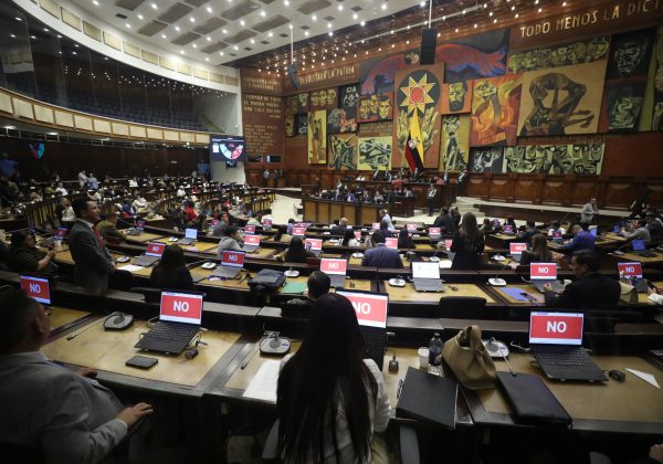 Asamblea Nacional dice no al proyecto de Ley Orgánica para la Protección y Defensa de los Derechos de los Animales