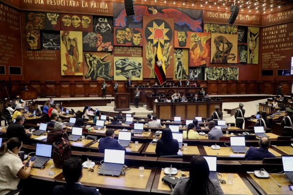 Asamblea Nacional enfrenta presión para aprobar el proyecto de Ley de Protección y Defensa de los Derechos de los Animales