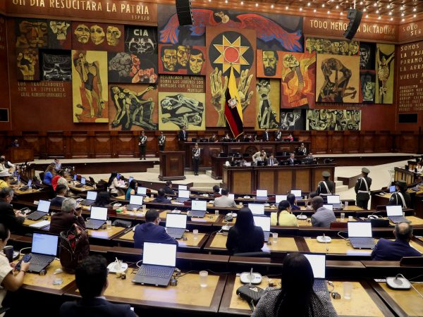 Asamblea Nacional enfrenta presión para aprobar el proyecto de Ley de Protección y Defensa de los Derechos de los Animales