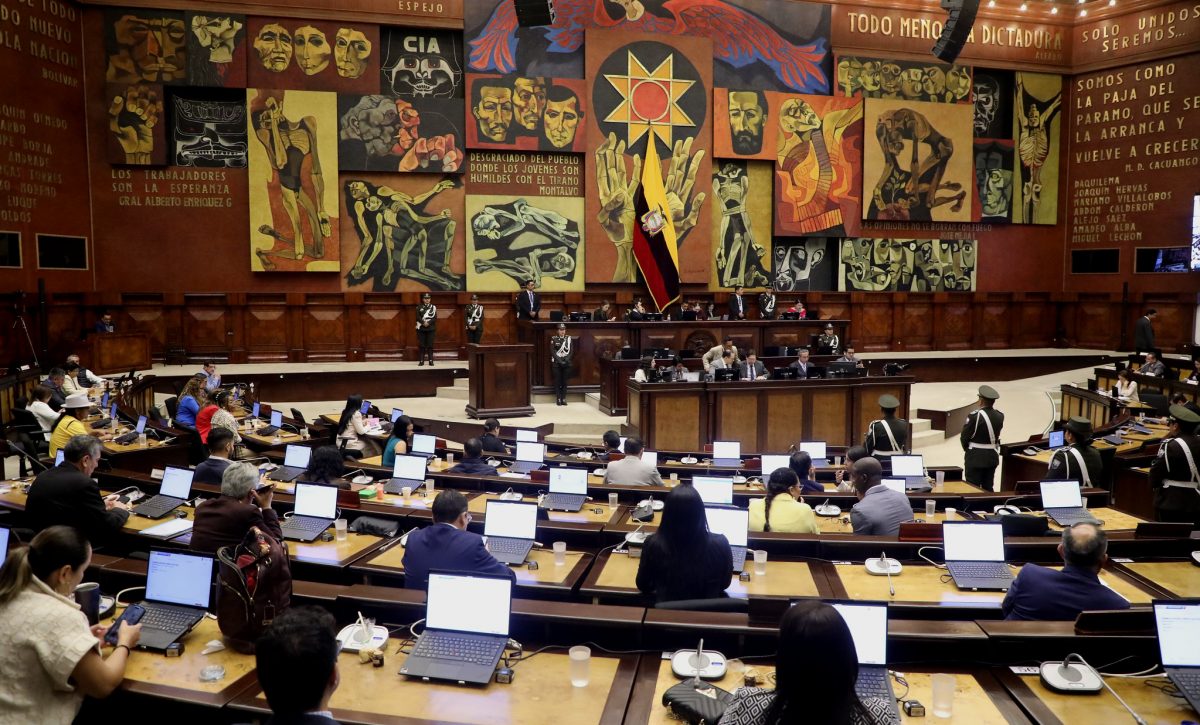 Asamblea Nacional enfrenta presión para aprobar el proyecto de Ley de Protección y Defensa de los Derechos de los Animales
