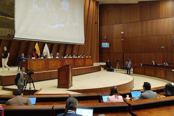 Asamblea Nacional: ¿Quiénes son los diez asambleístas que conforman la Comisión de Fiscalización en el Legislativo? (Asamblea Nacional).
