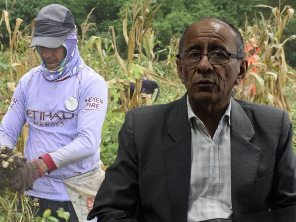 ¡Atención, agricultores! BanEcuador promueve crédito exclusivo para productores de ciclo corto. (El Diario). (1)