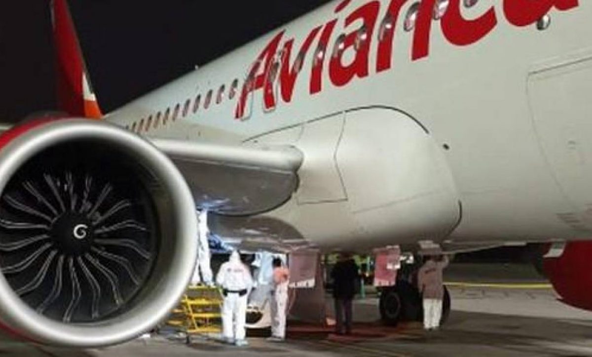 Avion