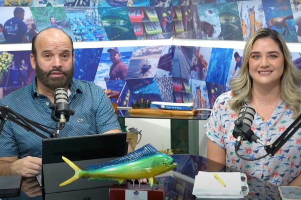 Azul Sostenible ha llevado información sobre océanos, pesca y conservación a miles de personas en Ecuador y Latinoamérica.