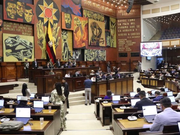 Bancada de Revolución Ciudadana apela la presidencia de Niels Olsen en la Asamblea tras un polémico pedido. (Asamblea Nacional).