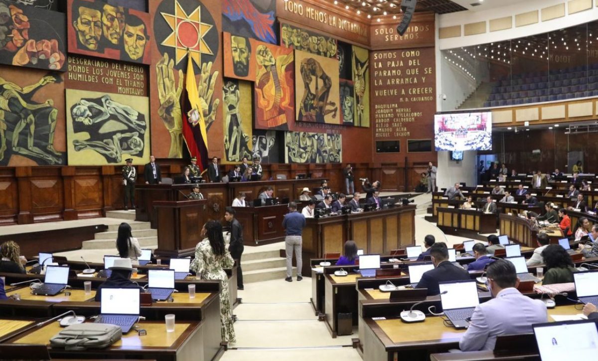 Bancada de Revolución Ciudadana apela la presidencia de Niels Olsen en la Asamblea tras un polémico pedido. (Asamblea Nacional).