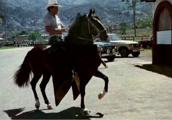 Tal fue el amor que Gonzalo Rodríguez Gacha, alias "El Mexicano", sentía por su caballo, que mandó construirle un establo de más de 25 metros cuadrados, equipado con todas las comodidades.